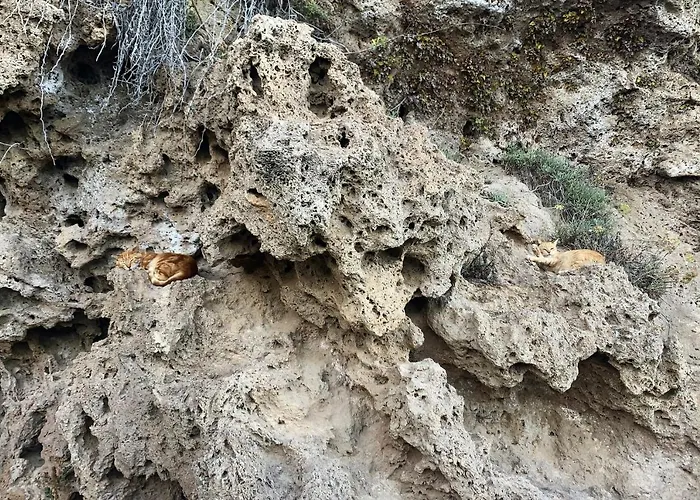 Santa Clara Cozy Sea View * Torremolinos