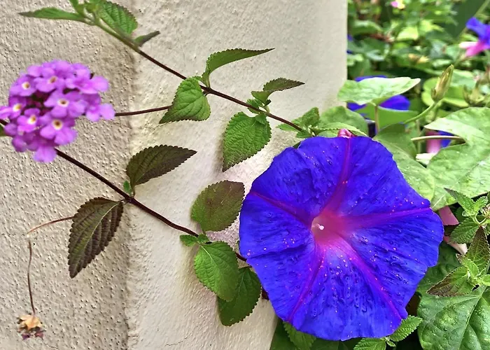Santa Clara Cozy Sea View Torremolinos