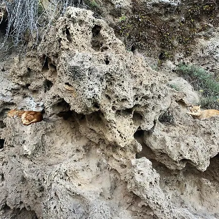 Santa Clara Cozy Sea View * טורמולינוס