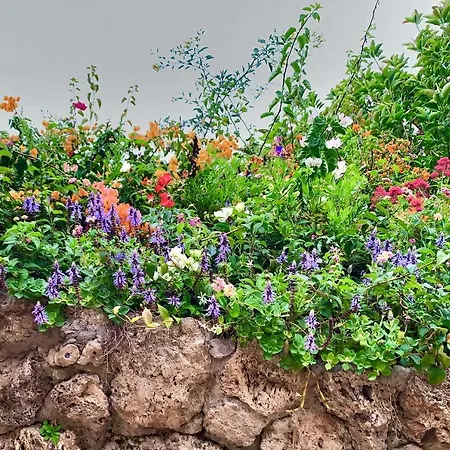 דירה Santa Clara Cozy Sea View טורמולינוס